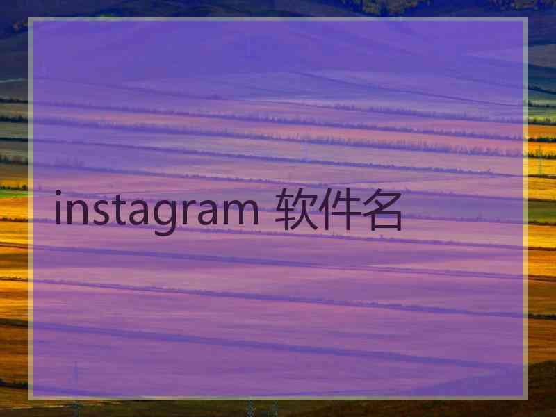 instagram 软件名