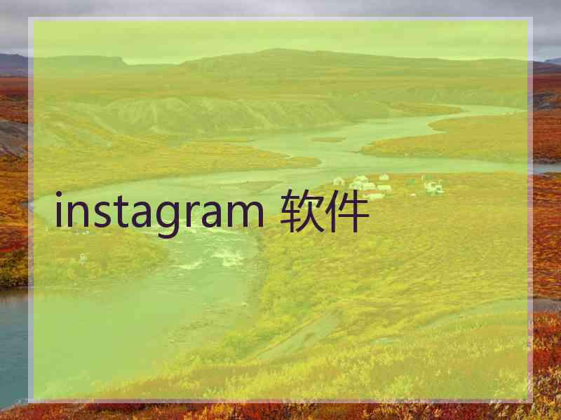 instagram 软件