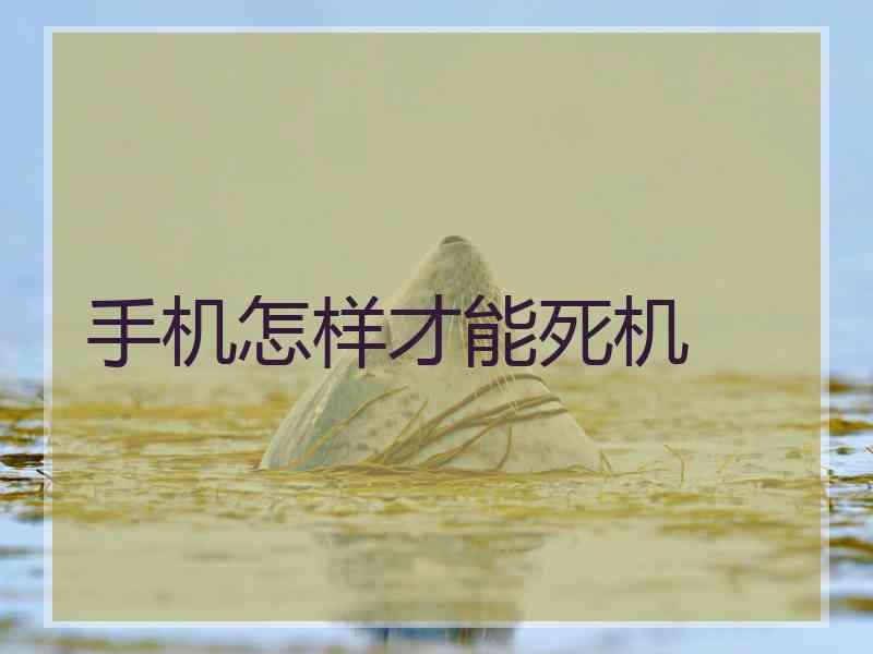手机怎样才能死机