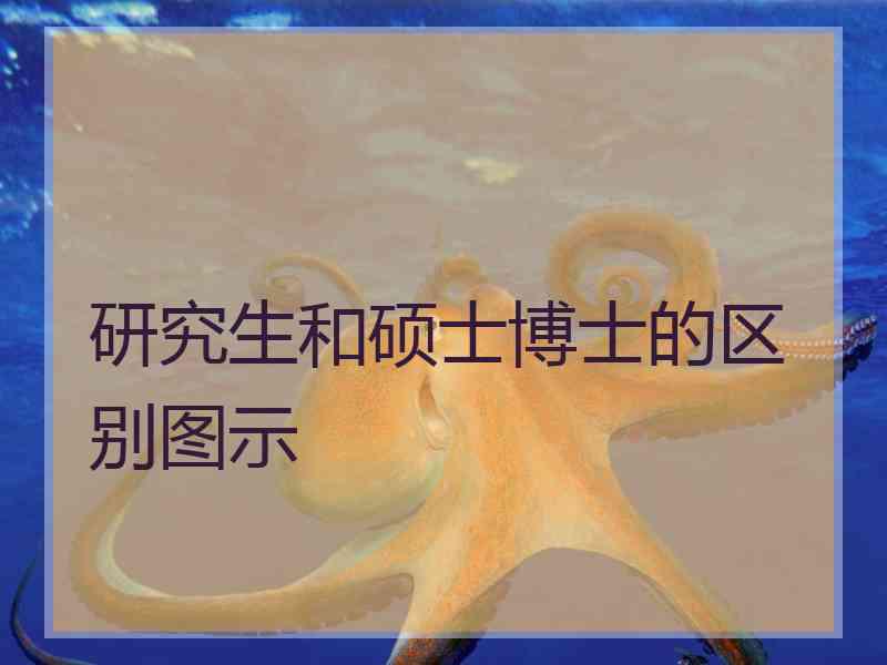 研究生和硕士博士的区别图示