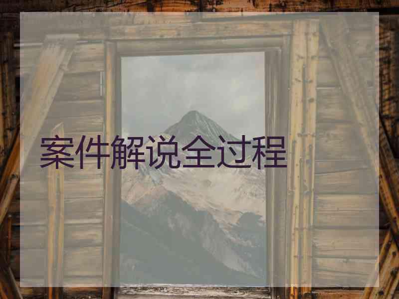 案件解说全过程