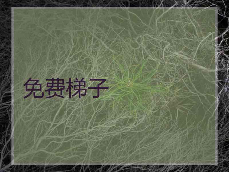 免费梯子