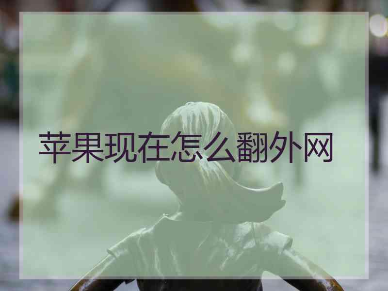 苹果现在怎么翻外网