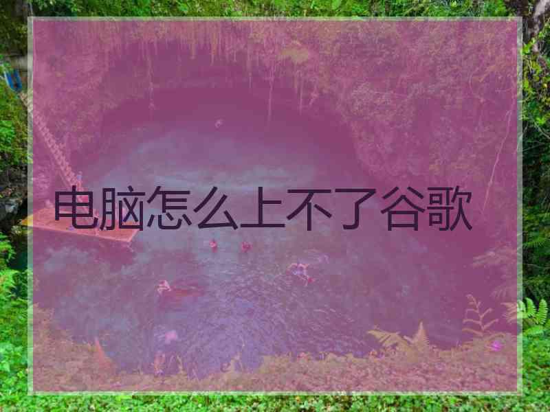 电脑怎么上不了谷歌