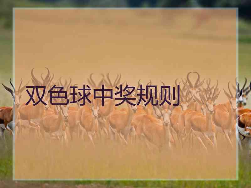 双色球中奖规则