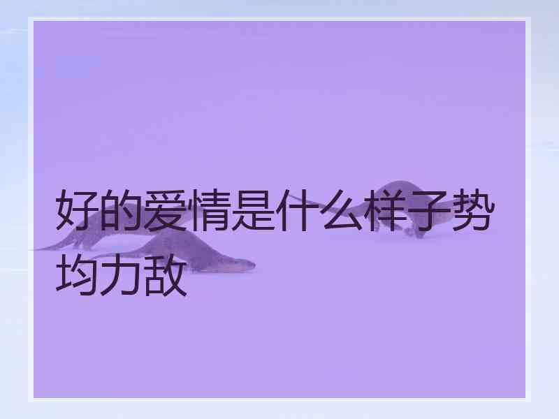 好的爱情是什么样子势均力敌