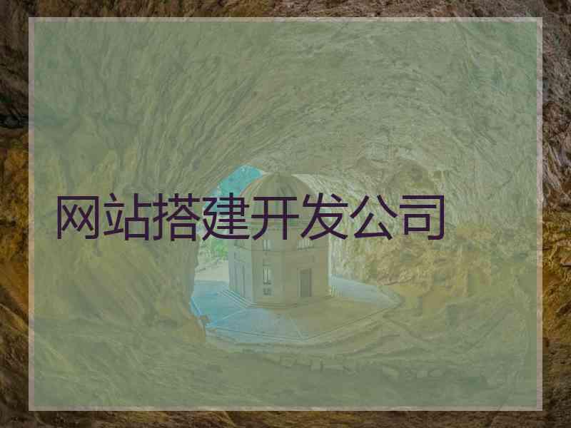网站搭建开发公司