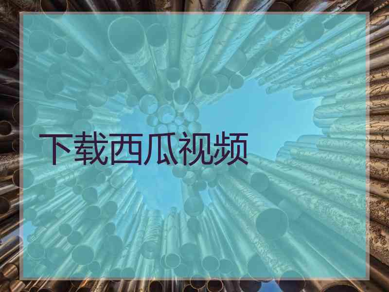 下载西瓜视频