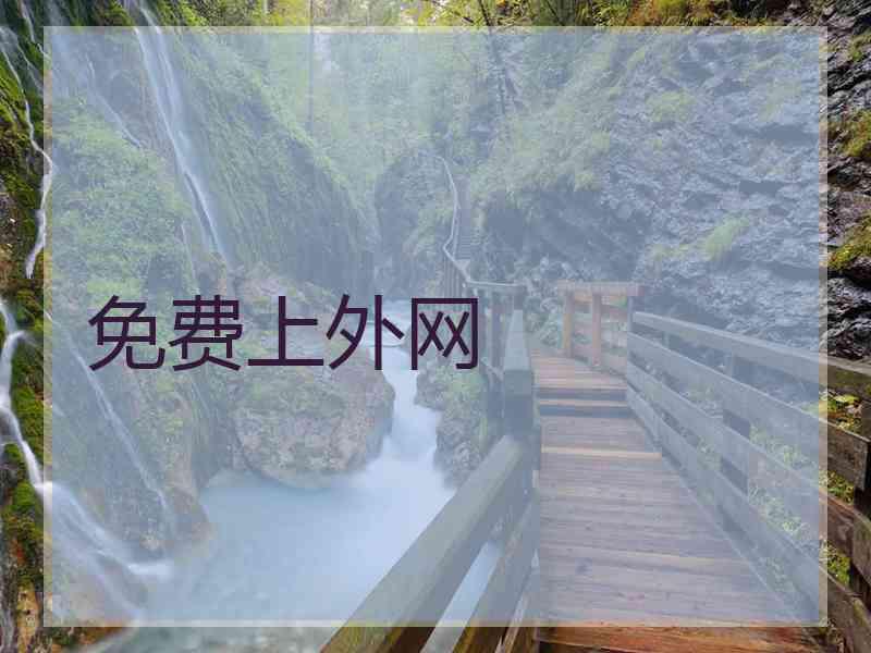 免费上外网