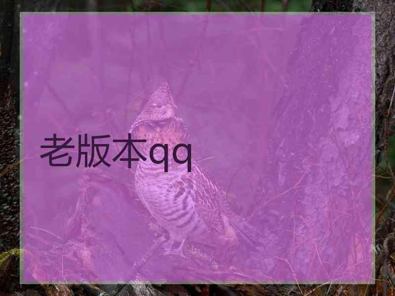 老版本qq