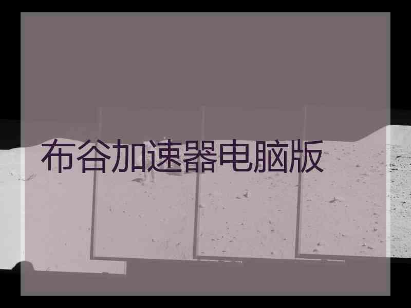 布谷加速器电脑版