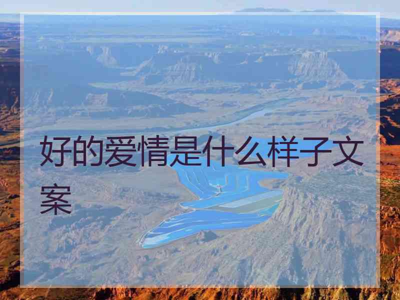 好的爱情是什么样子文案