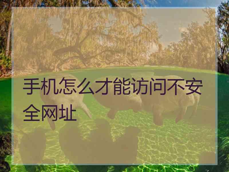 手机怎么才能访问不安全网址