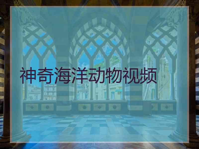 神奇海洋动物视频