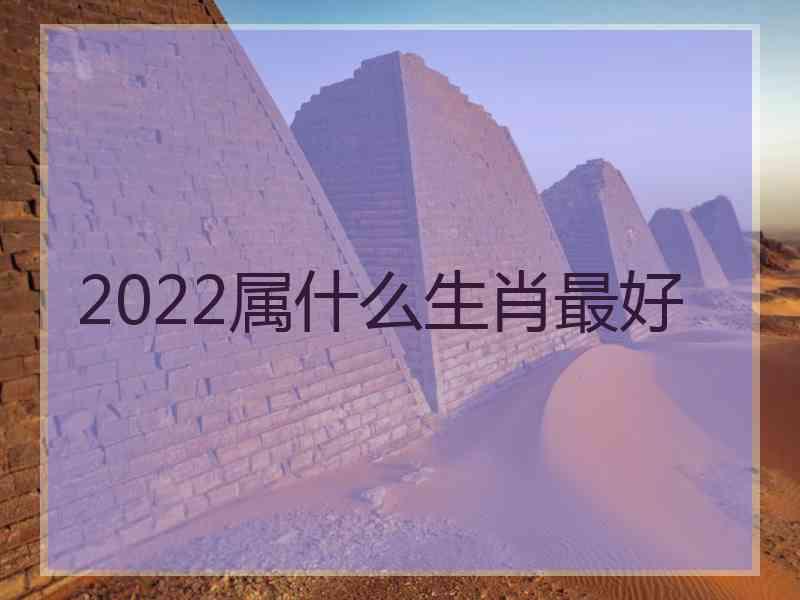2022属什么生肖最好