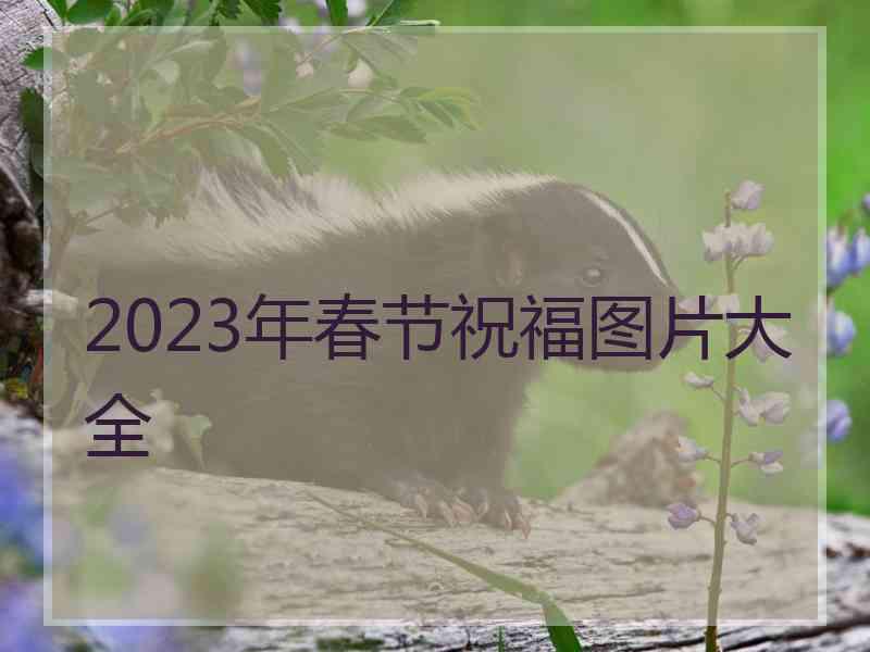 2023年春节祝福图片大全