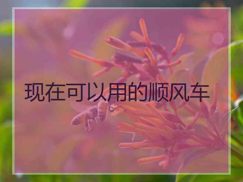 现在可以用的顺风车