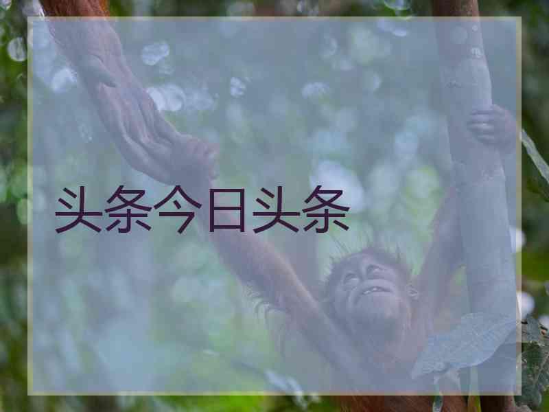 头条今日头条