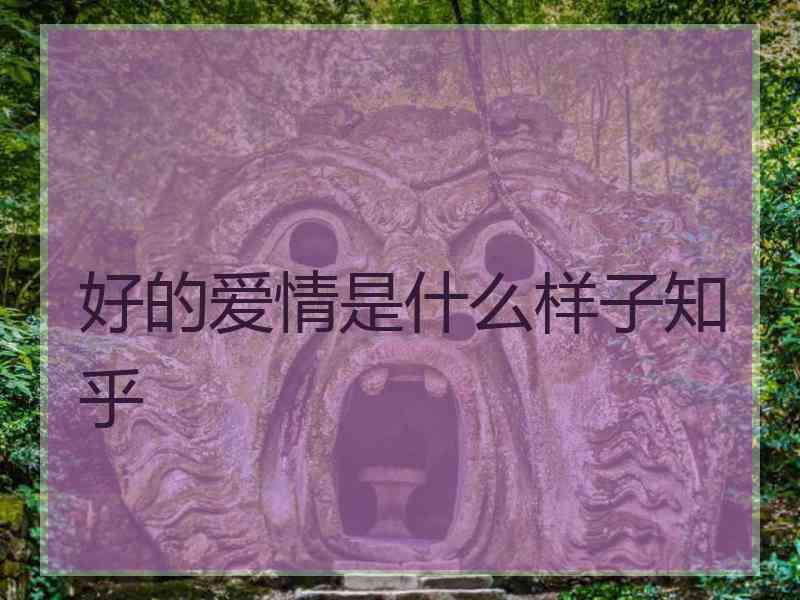 好的爱情是什么样子知乎