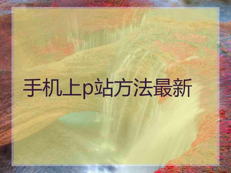 手机上p站方法最新