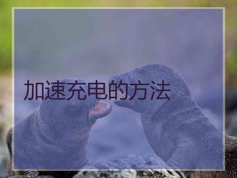 加速充电的方法