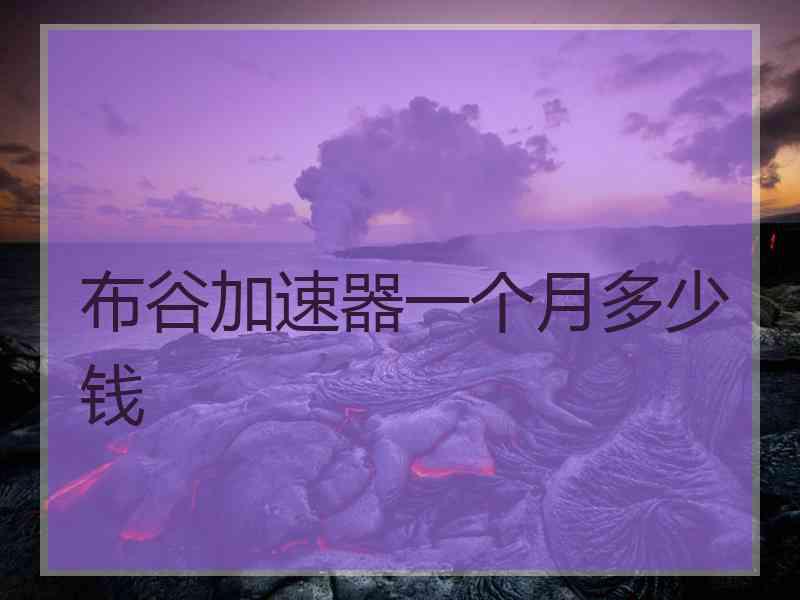 布谷加速器一个月多少钱