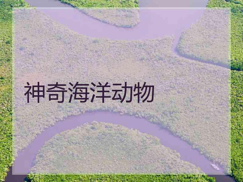 神奇海洋动物