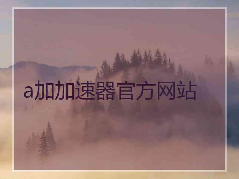 a加加速器官方网站