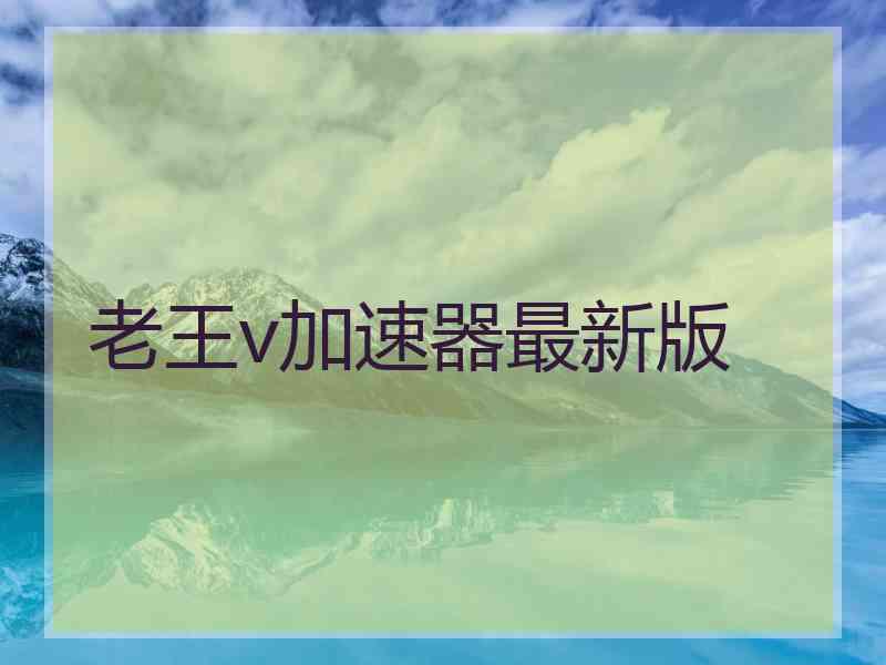 老王v加速器最新版