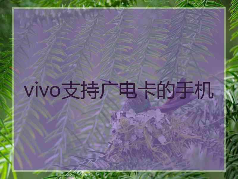 vivo支持广电卡的手机