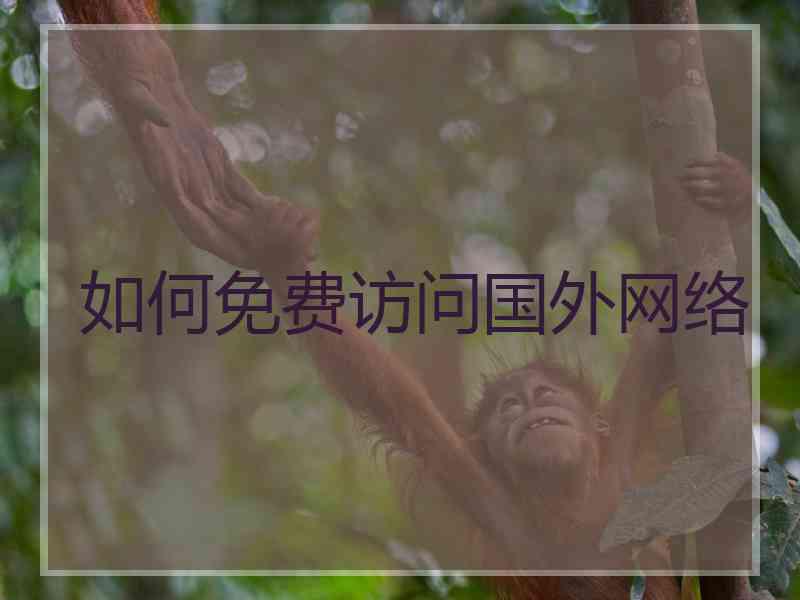 如何免费访问国外网络