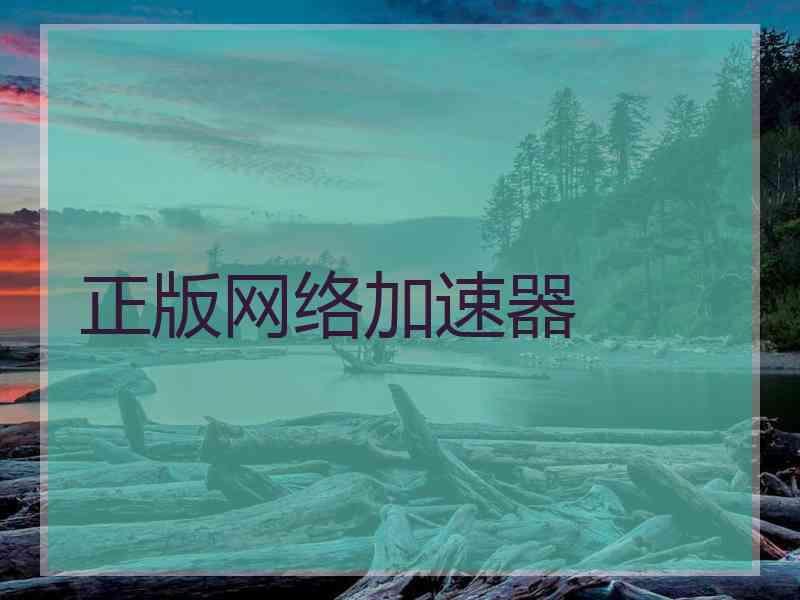 正版网络加速器