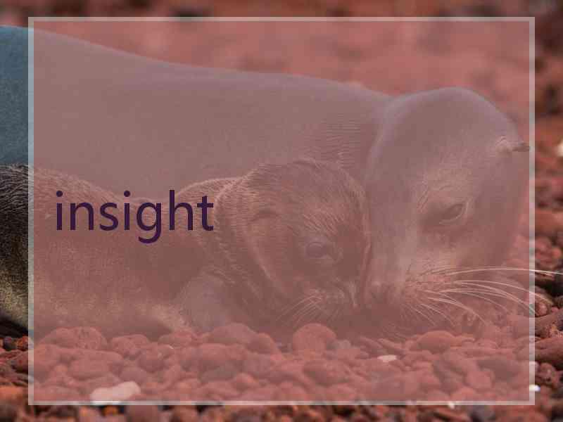 insight