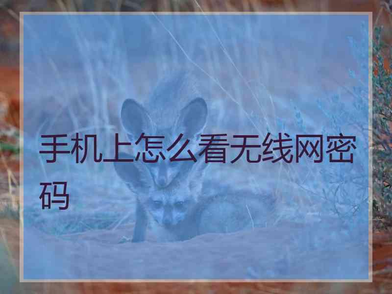 手机上怎么看无线网密码