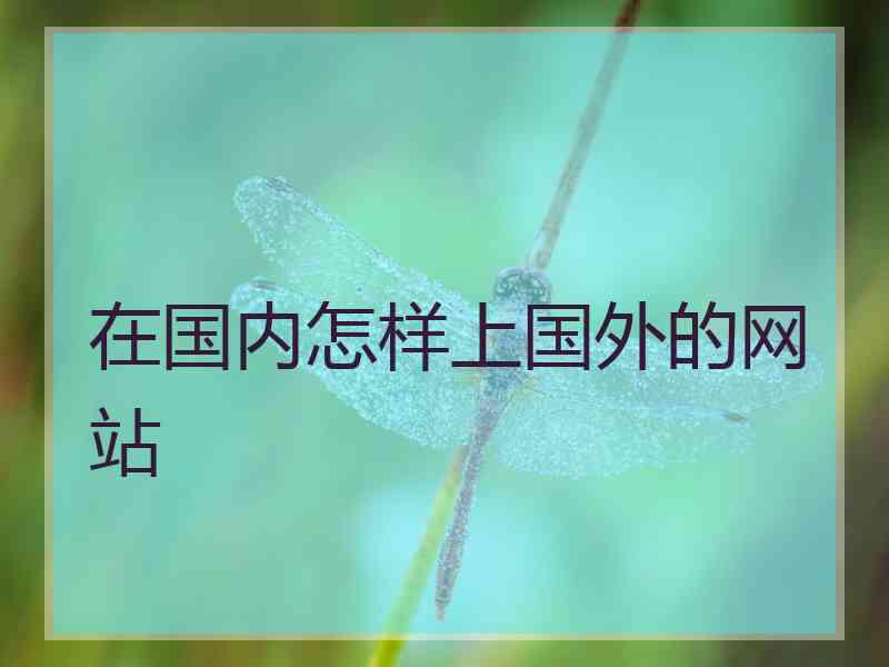 在国内怎样上国外的网站