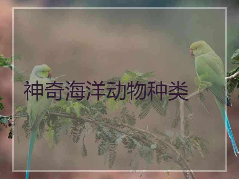 神奇海洋动物种类
