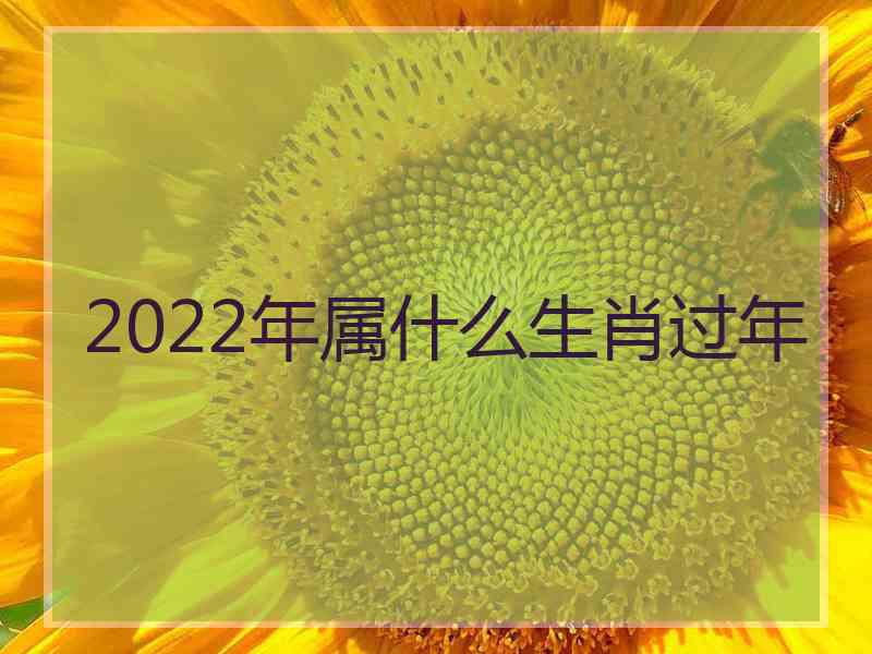 2022年属什么生肖过年