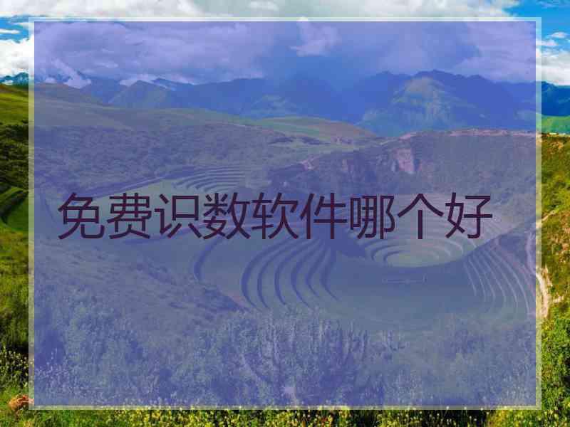 免费识数软件哪个好