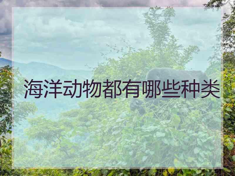 海洋动物都有哪些种类