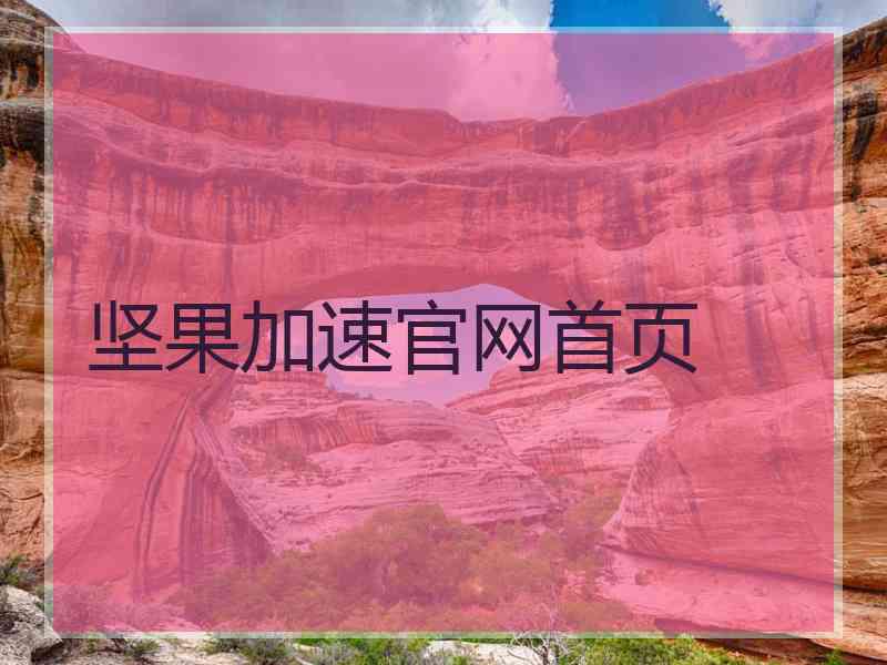 坚果加速官网首页