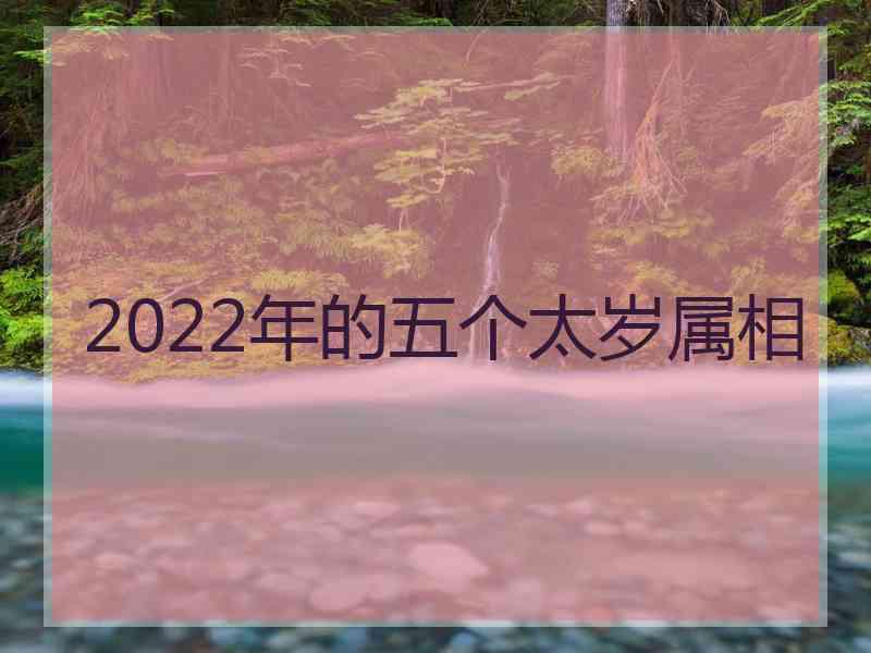 2022年的五个太岁属相