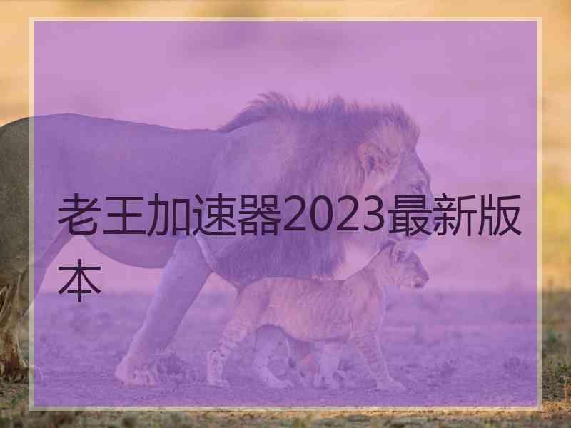老王加速器2023最新版本