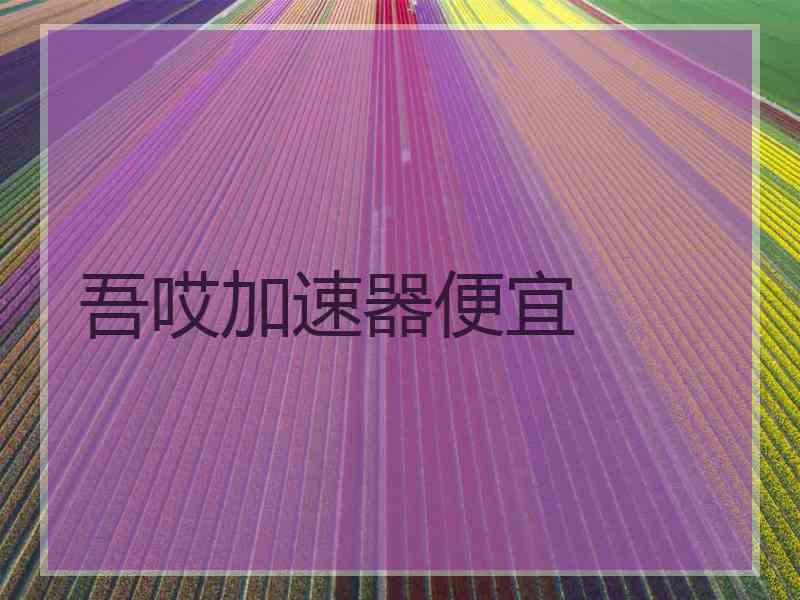 吾哎加速器便宜