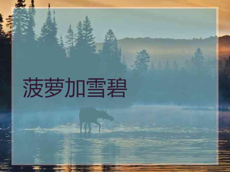 菠萝加雪碧