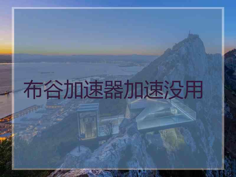 布谷加速器加速没用