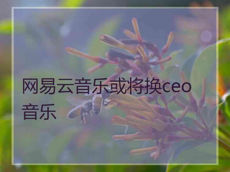 网易云音乐或将换ceo 音乐