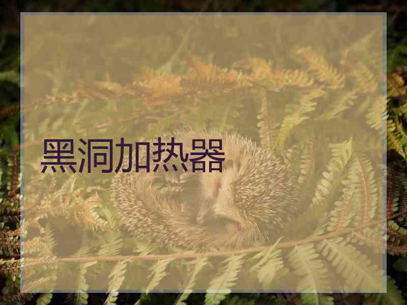 黑洞加热器