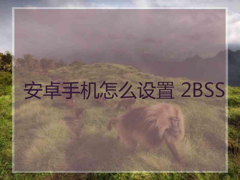 安卓手机怎么设置 2BSS