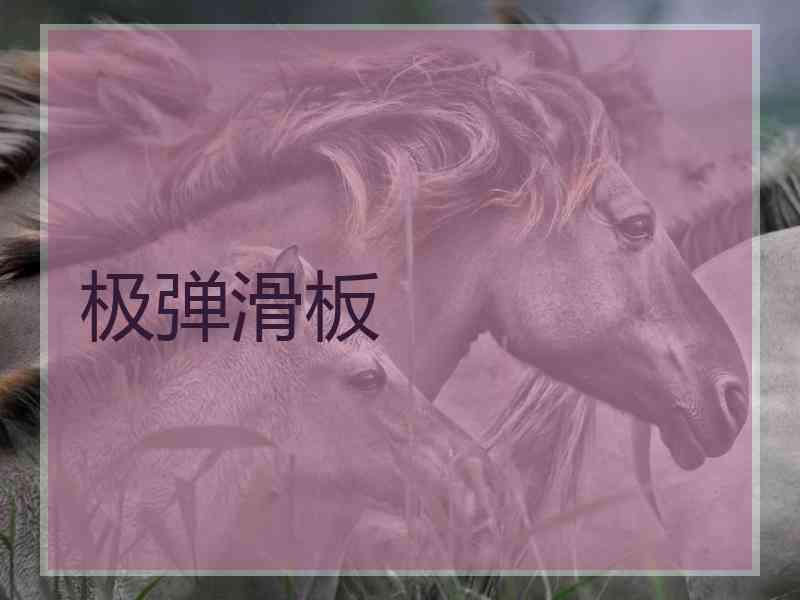 极弹滑板
