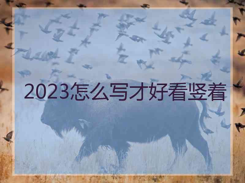 2023怎么写才好看竖着